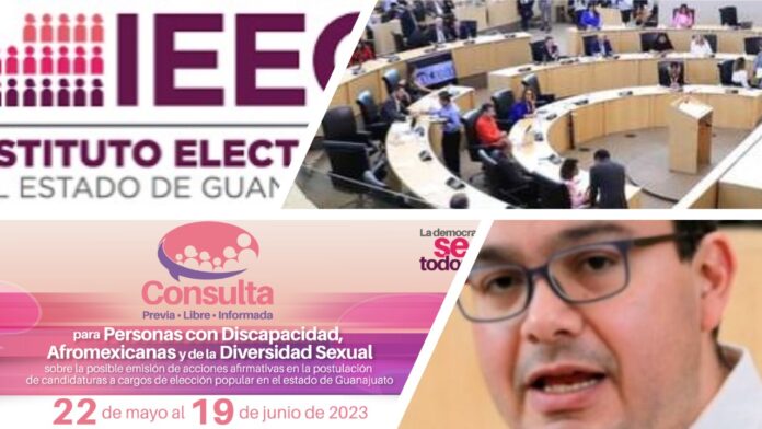 //RED CIUDADANA 4.0:// CONSULTA IEEG SOBRE CANDIDATURAS DE PERSONAS CON DISCAPACIDAD, AFROMEXICANAS Y DIVERSIDAD SEXUAL