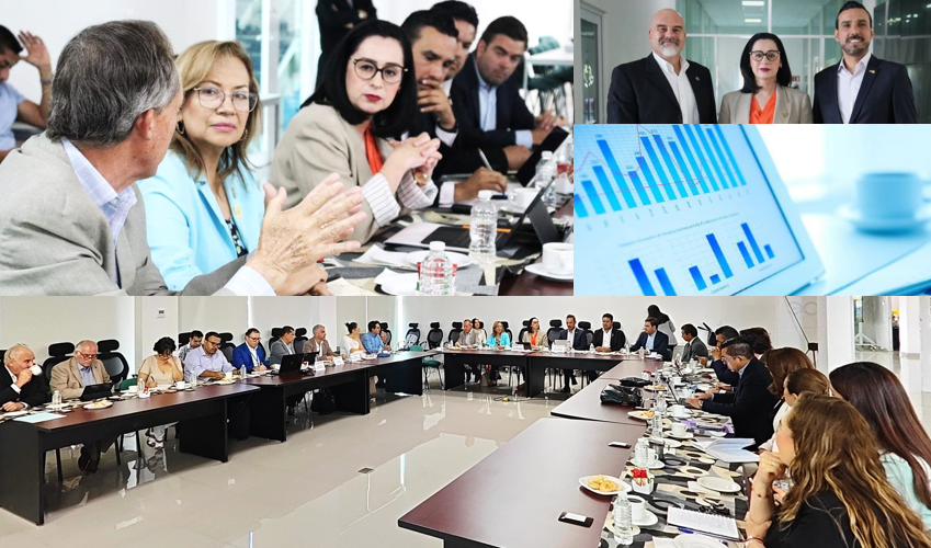 PLANTEA CCEC DUDAS SOBRE AVANCES EN LOS PROYECTOS DE CELAYA PLANTEA CCEC DUDAS SOBRE AVANCES EN LOS PROYECTOS DE CELAYA