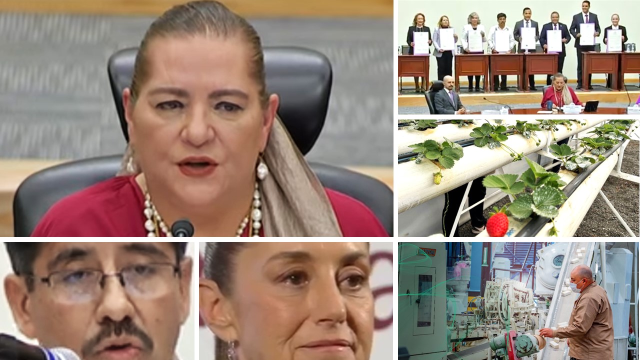 EL INE APENAS ALCANZÓ LA CALIFICACIÓN DE LA ELECCIÓN JUDICIAL EL INE APENAS ALCANZÓ LA CALIFICACIÓN DE LA ELECCIÓN JUDICIAL